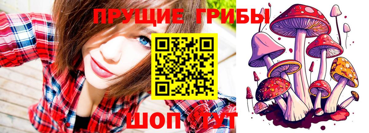Вологда  Псилоцибиновые грибы Cubensis  Вход с VPN 